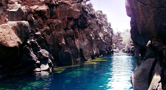goud houding Kenmerkend Galapagos Islands ::: Santa Cruz Island ::: Las Grietas