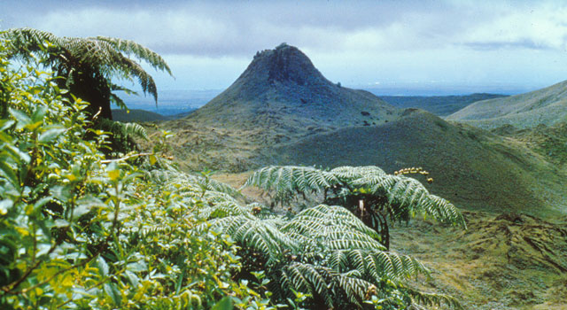 Puntudo / Cerro Crocker