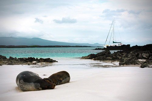 Galapagos NemoII Top Deck