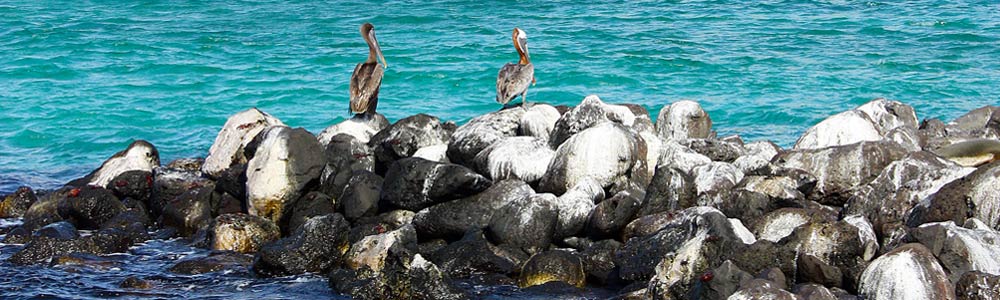 Galapagos Islands